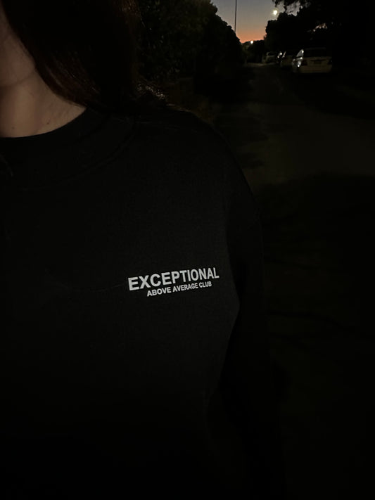 Exceptional Sweatshirt